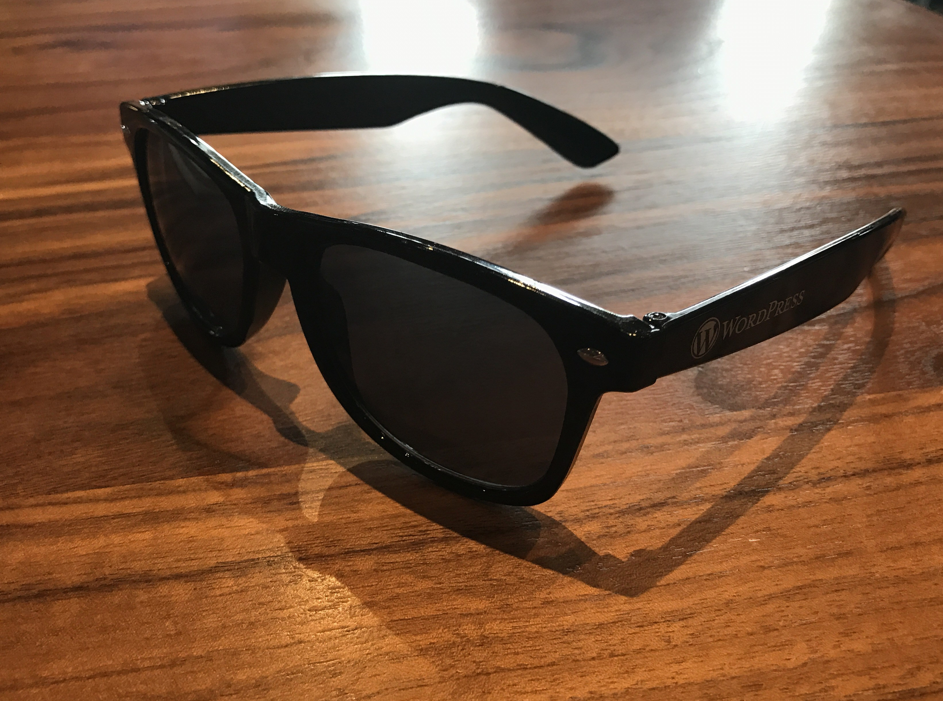 WordPress Sunglasses in Black